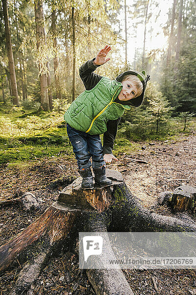 Playful boy gesturing while standing on tree stump in forest