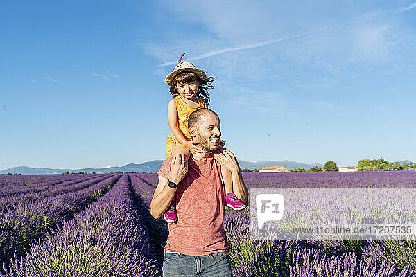 Father piggybacking little daughter in vast summer lavender field