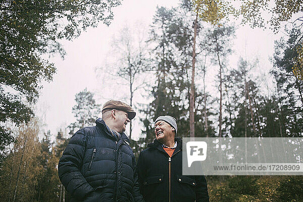 Cheerful gay couple talking with each other in forest