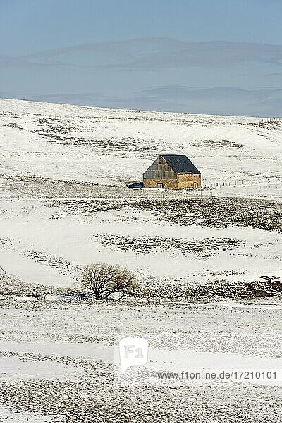 Bauernhof im Winter im Cezallier-Massiv  Regionaler Naturpark der Volcans d'Auvergne  Puy de Dome  Frankreich  Europa