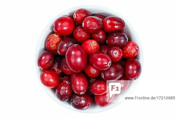 Cranberries Cranberrys Beeren von oben Freisteller vor einem weißen Hintergrund