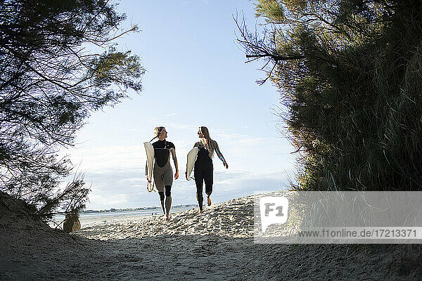 Young female surfers walking with surfboards on sunny beach path