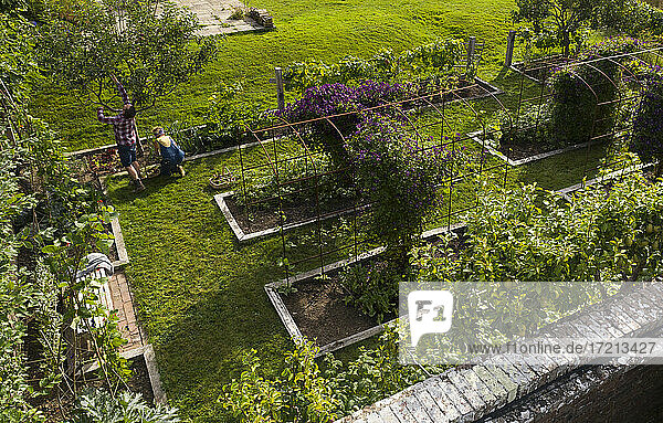 Paar Gartenarbeit in üppigen Sommergarten mit Hochbeeten