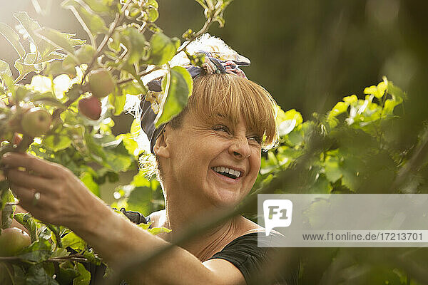 Glückliche Frau lachend in sonnigen Sommer Gemüsegarten