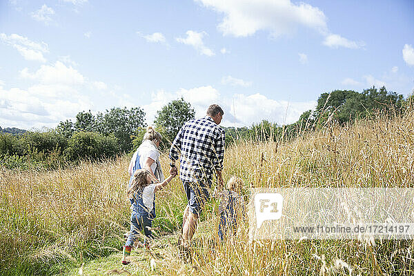 Family holding hands walking in sunny idyllic rural field