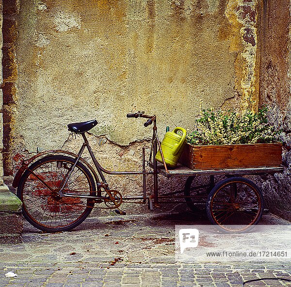 Stillleben; Natura Morta; Blumen  Fahrrad  altes Fahrrad  Dekoration | Still Life; Natura Morta; Flowers  decoration  Bicycle  old bicycle