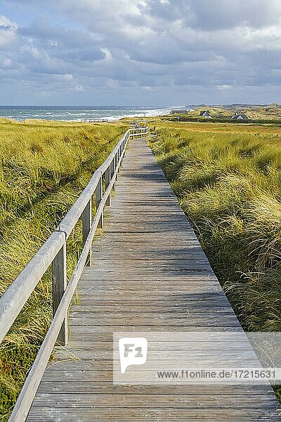 Wooden path  dunes and beach  Sylt  North Frisian Island  North Sea  North Frisia  Schleswig-Holstein  Germany  Europe