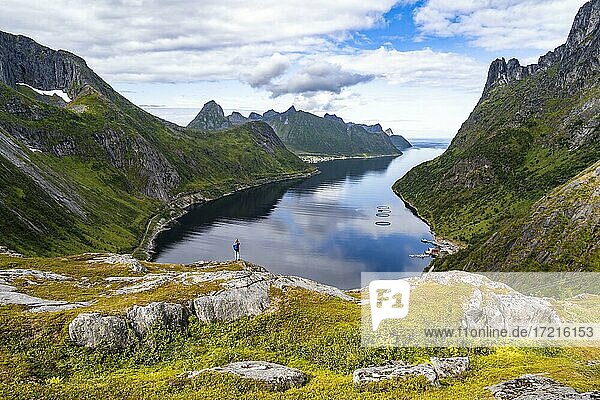 Fjord and mountains  in the back Fjordgard  view from mountain Daven  young woman hiking  Senja  Norway  Europe