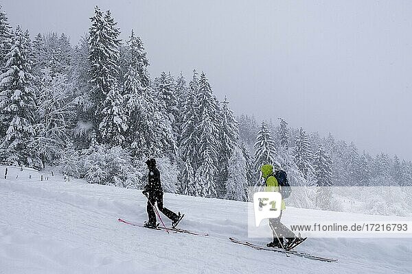Skitour  Skitourengeher  im Winter bei dichtem Schneefall  auf den Rabenkopf  Pessenbach  Oberbayern  Bayern  Deutschland  Europa