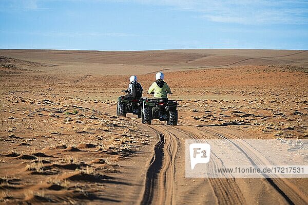 Quadbiker on sand track in the Namib  Namib Rand area  Namibia  Africa