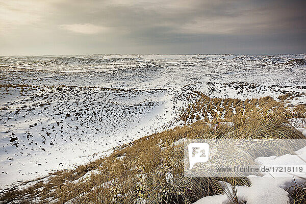 Blick über die verschneite Sylter Dünenlandschaft im Norden der Insel im Februar 2010- ein sehr seltener Anblick