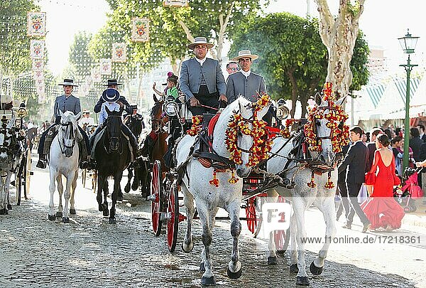 Horse-drawn carriages  Feria de Abril folk festival  Seville  Andalusia  Spain  Europe