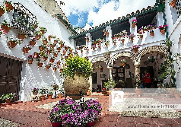Mit Blumen geschmückter Innenhof  Geranien in Blumentöpfe an der Hauswand  Fiesta de los Patios  Córdoba  Andalusien  Spanien  Europa