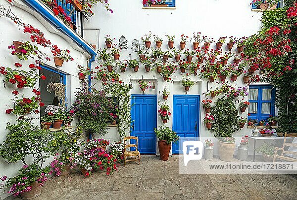 Blaue Eingangstüre in mit Blumen geschmücktem Innenhof  Geranien in Blumentöpfe an der Hauswand  Fiesta de los Patios  Córdoba  Andalusien  Spanien  Europa
