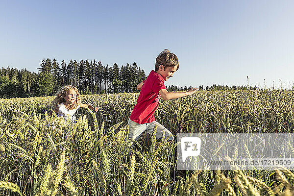 Girl running with brother amidst crop plants during sunset