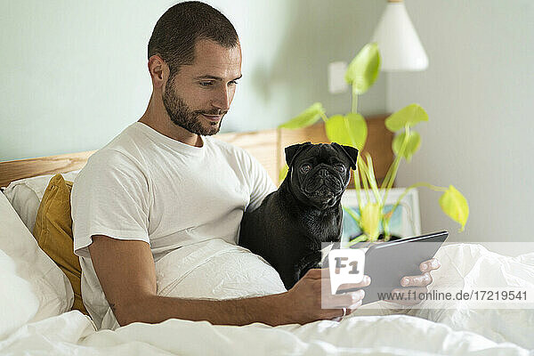 Junger Mann mit Mops  der ein digitales Tablet benutzt  während er zu Hause auf dem Bett sitzt