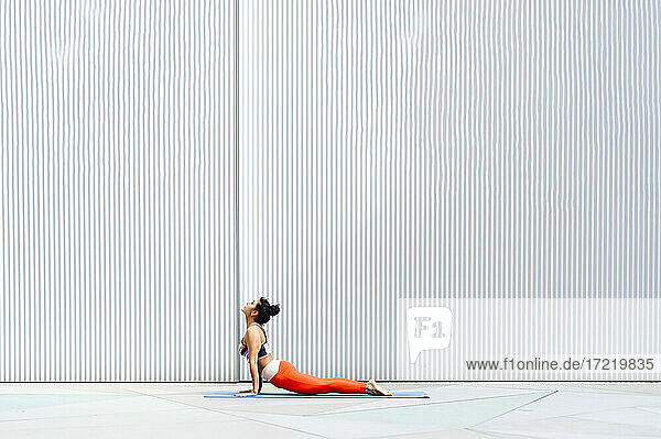 Mid adult female athlete doing cobra pose on mat by wall