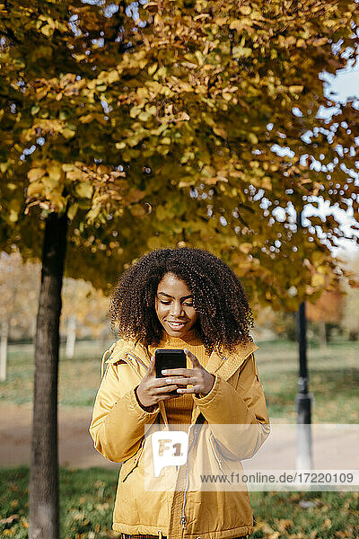Young Afro woman using smart phone while standing in park during autumn