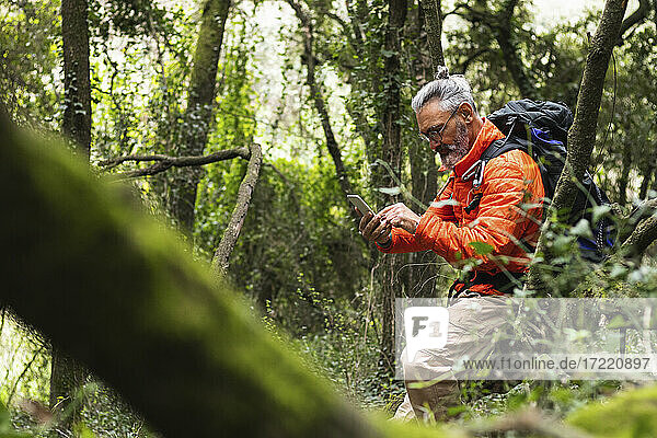 Älterer männlicher Forscher  der ein Mobiltelefon benutzt  während er auf einem Ast im Wald sitzt
