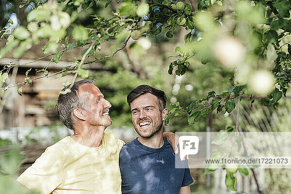 Father looking at tree while standing with son in backyard