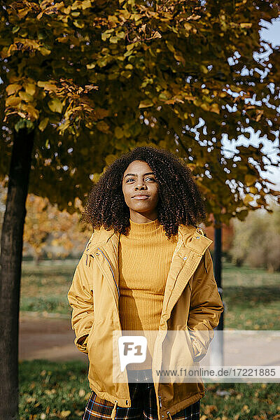 Schöne Afro-Frau mit Händen in den Taschen im Park stehend während des sonnigen Tages