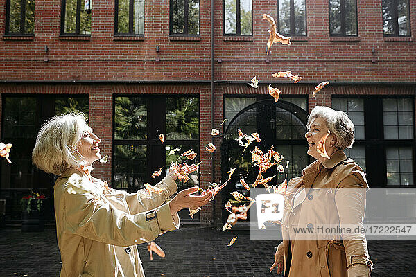 Female friends playing with dry autumn leaves on sunny day