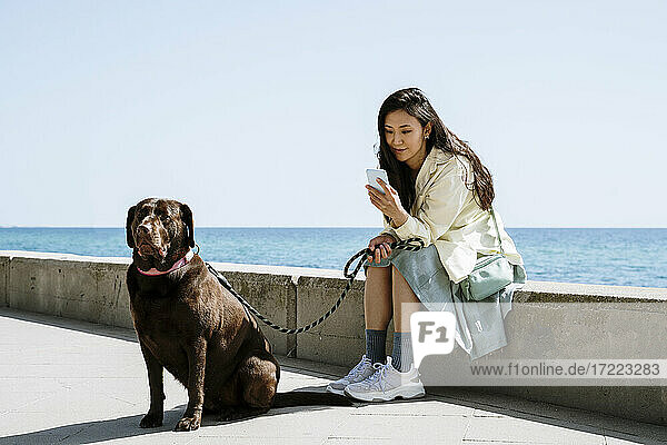 Touristin mit Chocolate Labrador auf Stützmauer am Meer sitzend