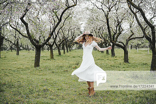 Glückliche junge Frau tanzt unter einem Baum im Park
