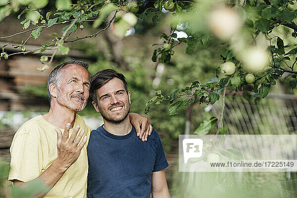 Vater mit Arm um Sohn diskutiert  während er einen Baum im Hinterhof betrachtet
