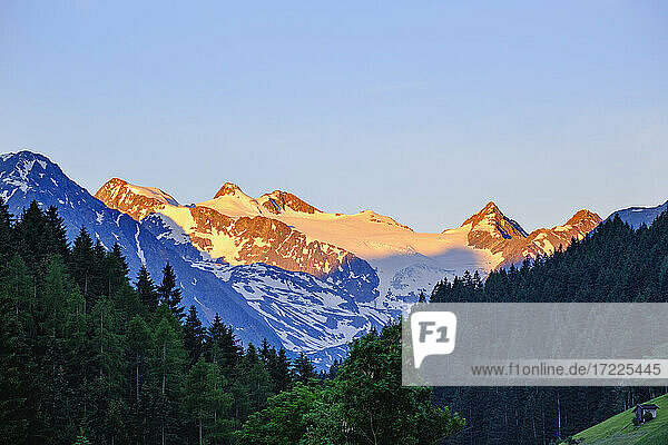 Stubai Apls with Zuckerhutl mountain in morning light  Stubai Valley  Tyrol  Austria