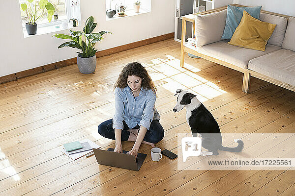 Businesswoman working on laptop by Jack Russell Terrier while sitting on floor at home