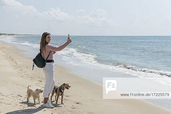 Frau mit Hunden spricht Selfie durch Smartphone am Strand während sonnigen Tag