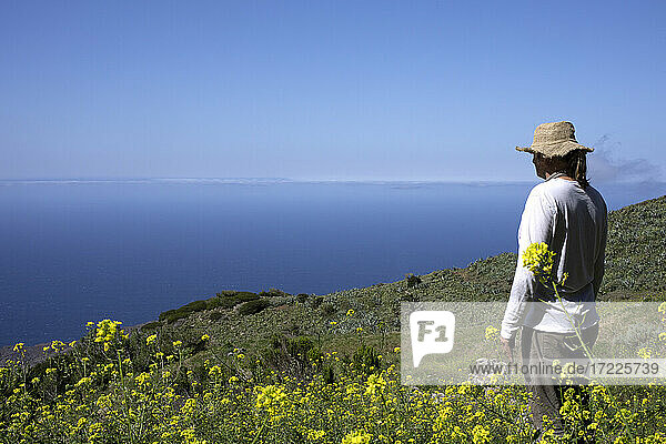Male hiker looking at sea on sunny day