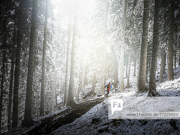 Männlicher Sportler  der im Winter im Wald läuft