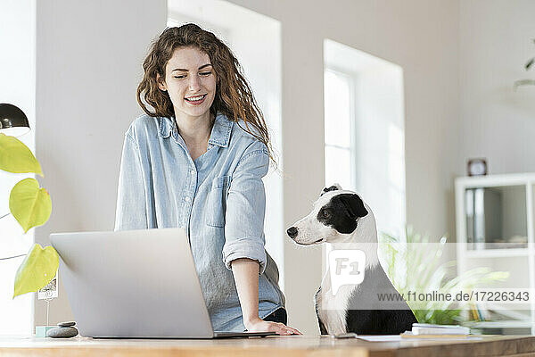 Smiling businesswoman looking at laptop while standing by dog in home office