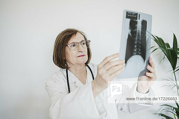 Female doctor examining x-ray image at clinic