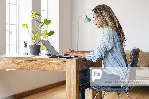 Konzentrierte Geschäftsfrau  die im Büro zu Hause am Laptop arbeitet