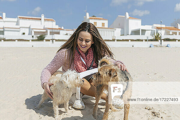 Lächelnde Frau sitzt mit Hunden auf Sand am Strand während eines sonnigen Tages