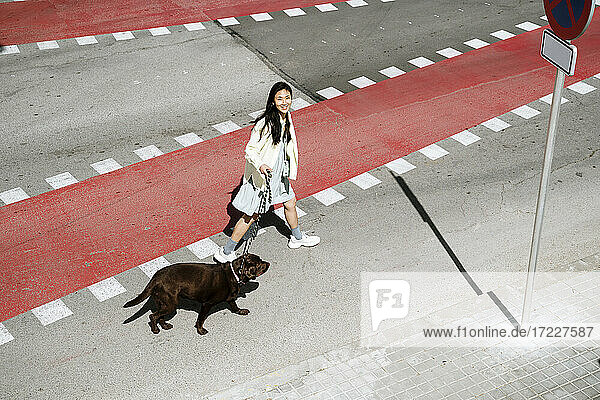 Lächelnde Frau beim Überqueren der Straße mit Labrador-Hund auf der Straße