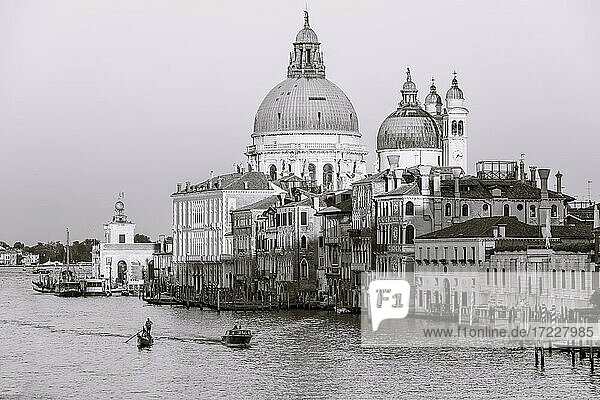 Black and white  view from the Ponte dell'Accademia to the Grand Canal and the Basilica Santa Maria della Salute  Venice  Veneto  Italy  Europe