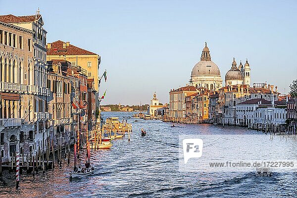 Evening atmosphere  view from the Ponte dell'Accademia to the Grand Canal and the Basilica Santa Maria della Salute  Venice  Veneto  Italy  Europe