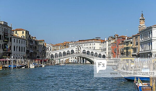 Rialto Bridge over the Grand Canal  Venice  Veneto  Italy  Europe