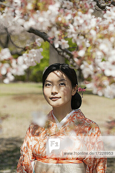 Schöne heitere junge Frau im Kimono unter Kirschblütenbaum