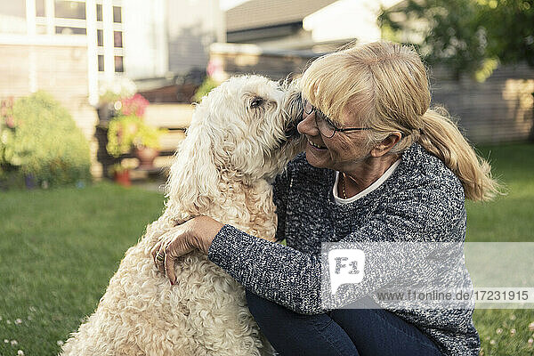 Hund küsst blonde Frau im Vorgarten