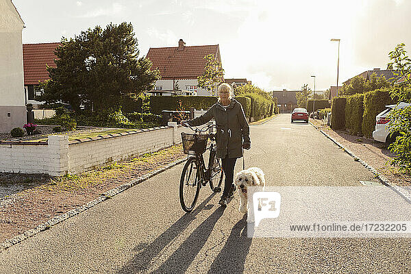 Mature woman wheeling bicycle while walking with dog on road