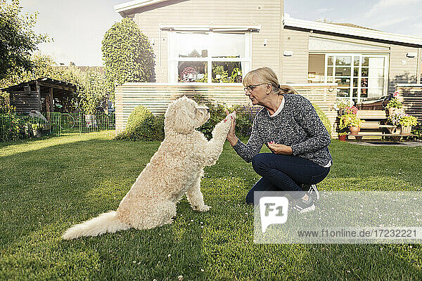 Reife Frau macht High-Five mit Hund im Hinterhof