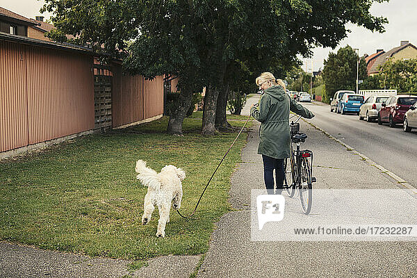 Ältere Frau mit Hund und Fahrrad zu Fuß auf dem Bürgersteig