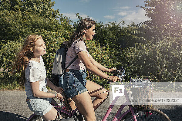 Female friends riding bicycle on street during sunny day