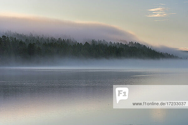 Nebel über See und Wald bei Sonnenaufgang im Herbst  Toras-Sieppi-See  Muonio  Lappland  Finnland  Europa