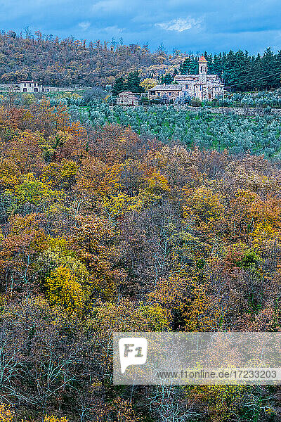 Pieve Di San Pietro A Sillano mit Olivenbäumen und Eichenwald im Vordergrund  Greve in Chianti  Toskana  Italien  Europa